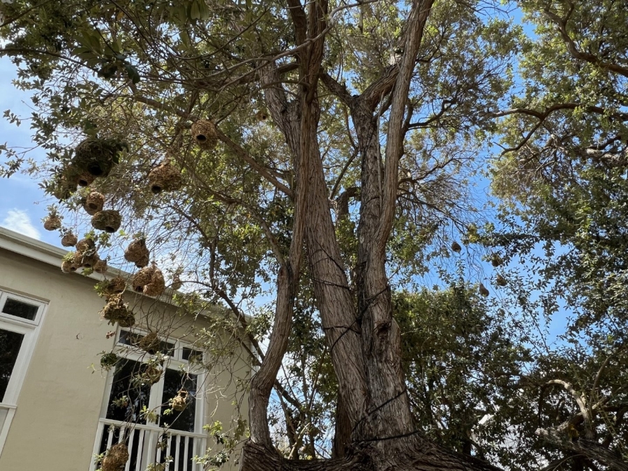 4 Bedroom Property for Sale in Keurboomstrand Western Cape